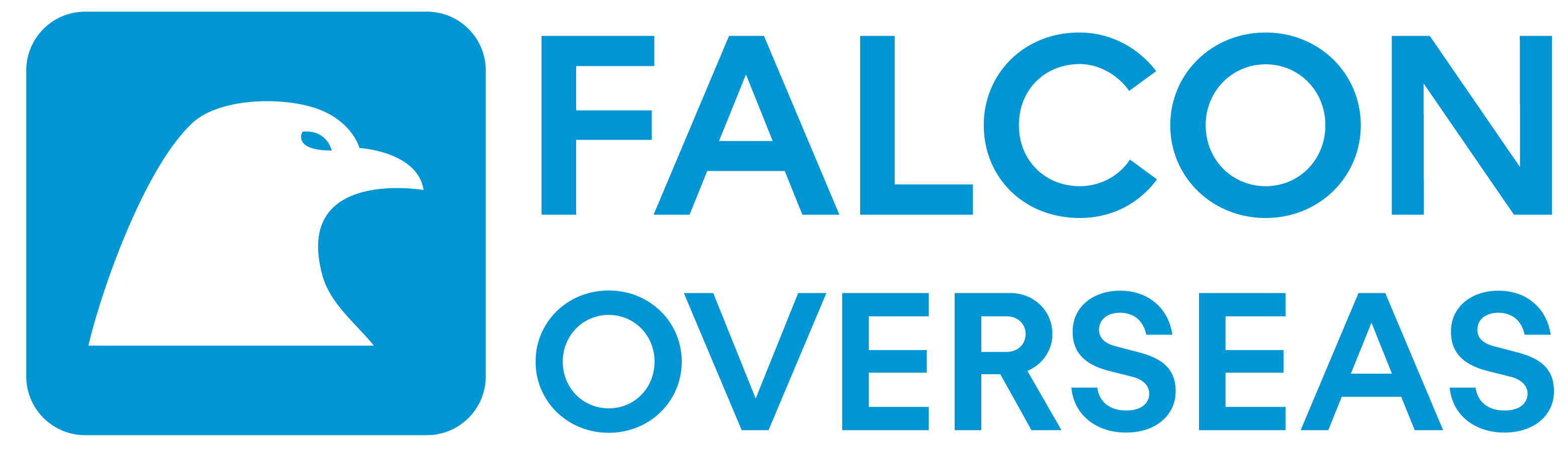 Visa Consultancy Services Falcon Overseas